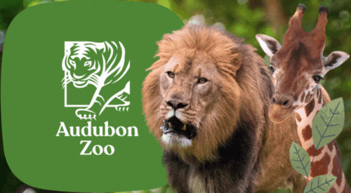 zoo tickets