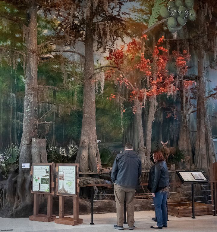 Nature Center