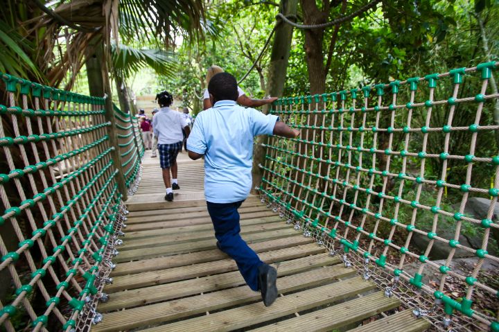 monkey hill