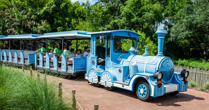 Swamp Train