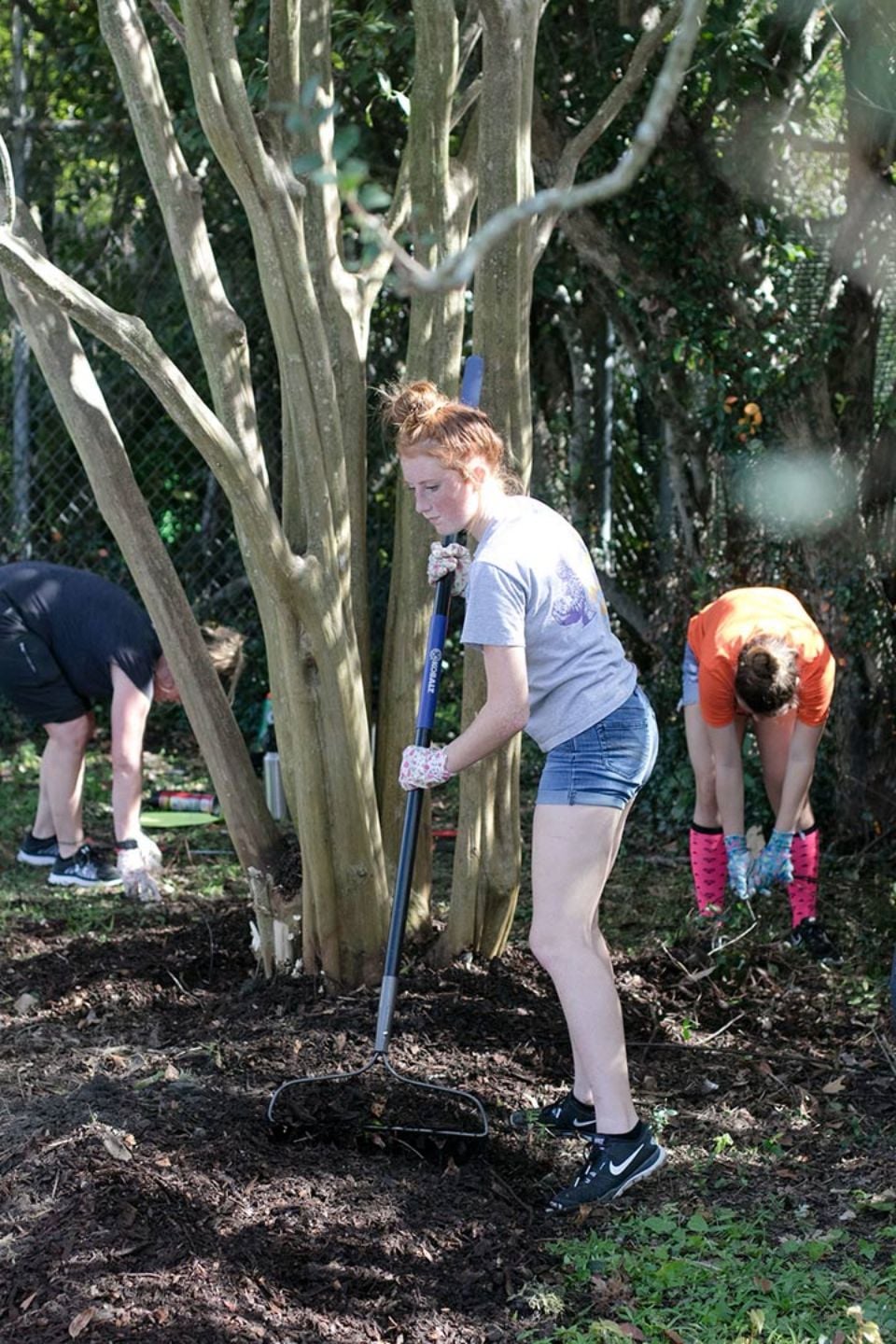 Volunteer Cleanup