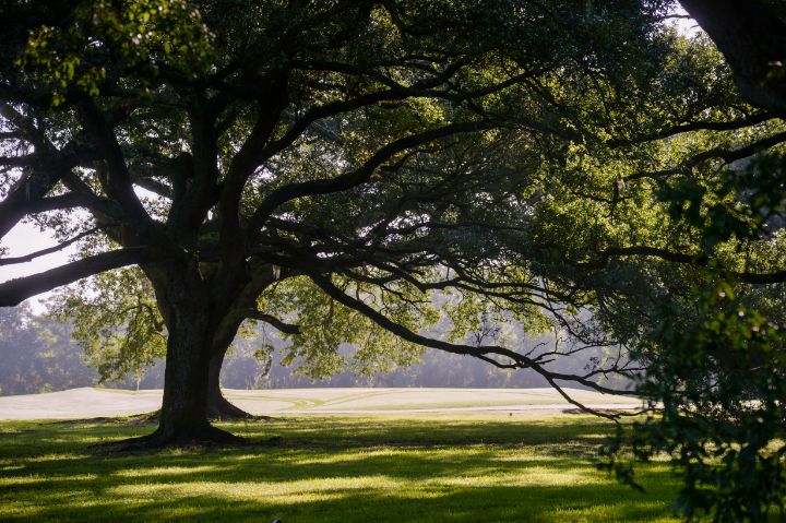 parks & athletics