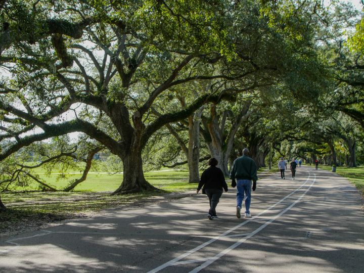 Audubon Park