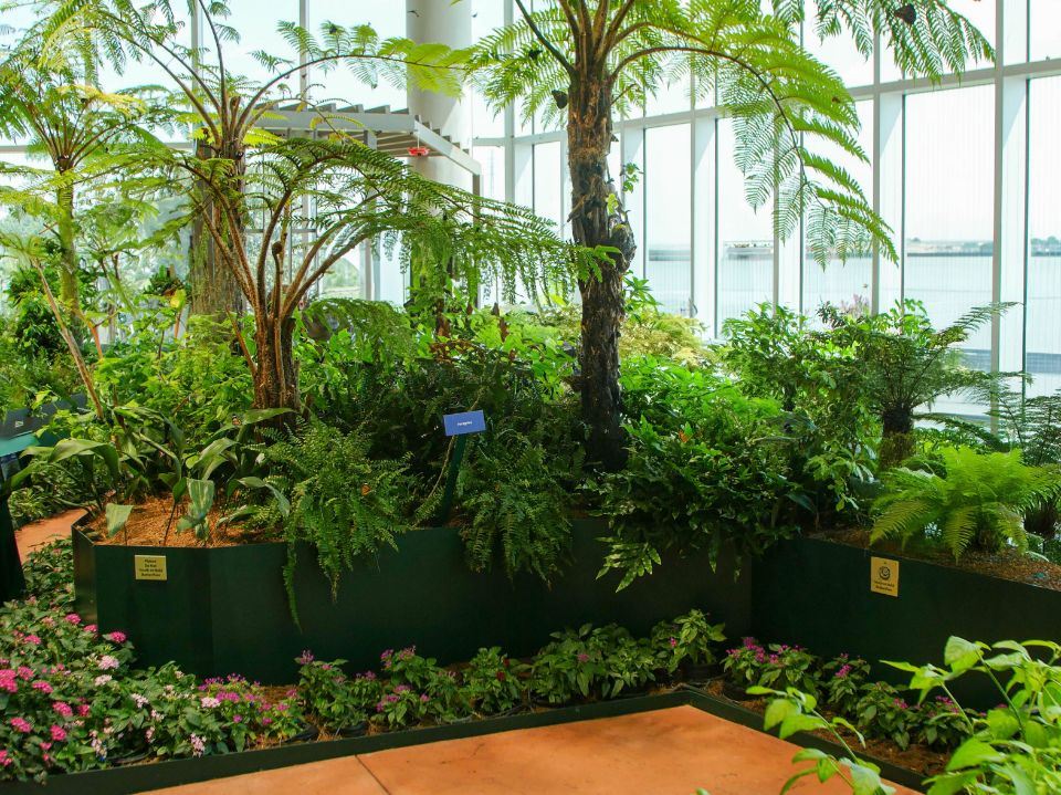 butterfly garden