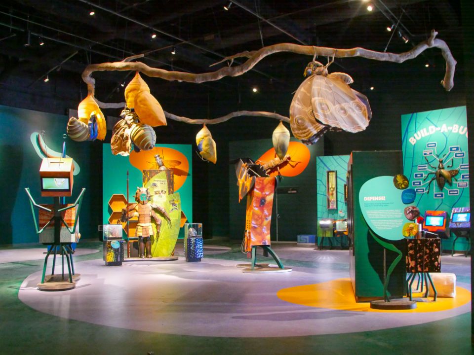 insectarium diversity