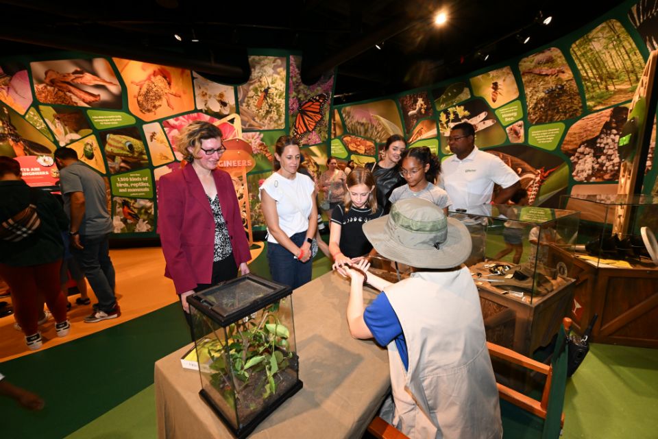 insectarium presentation