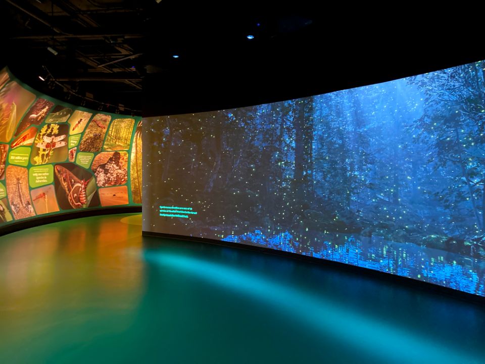 interactive wall 