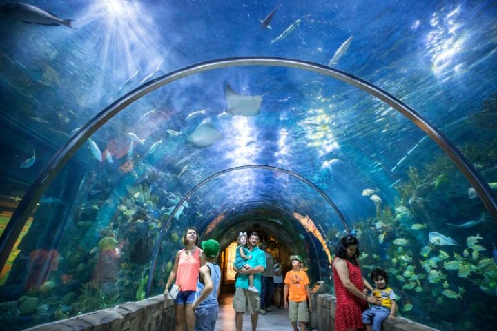 mayan tunnel