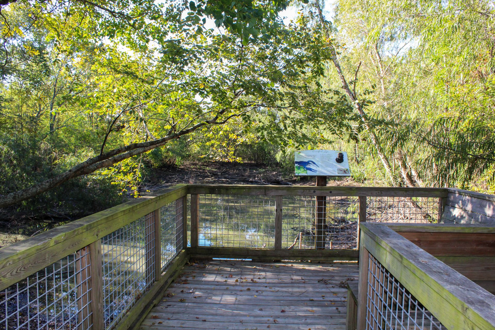 nature center trail
