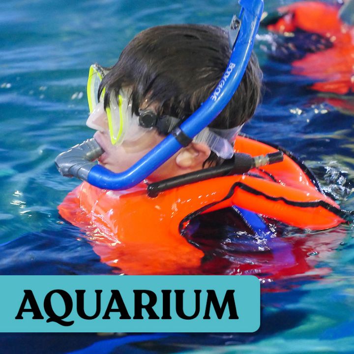 maya snorkel