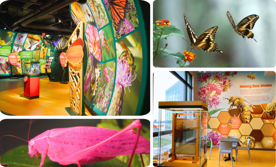 insectarium